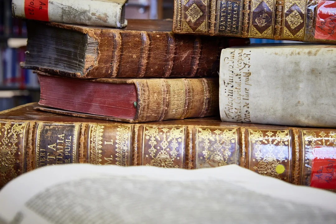 uni_vl_rheinlandesgesch_080421_006