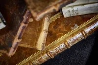 ZHF Bücher